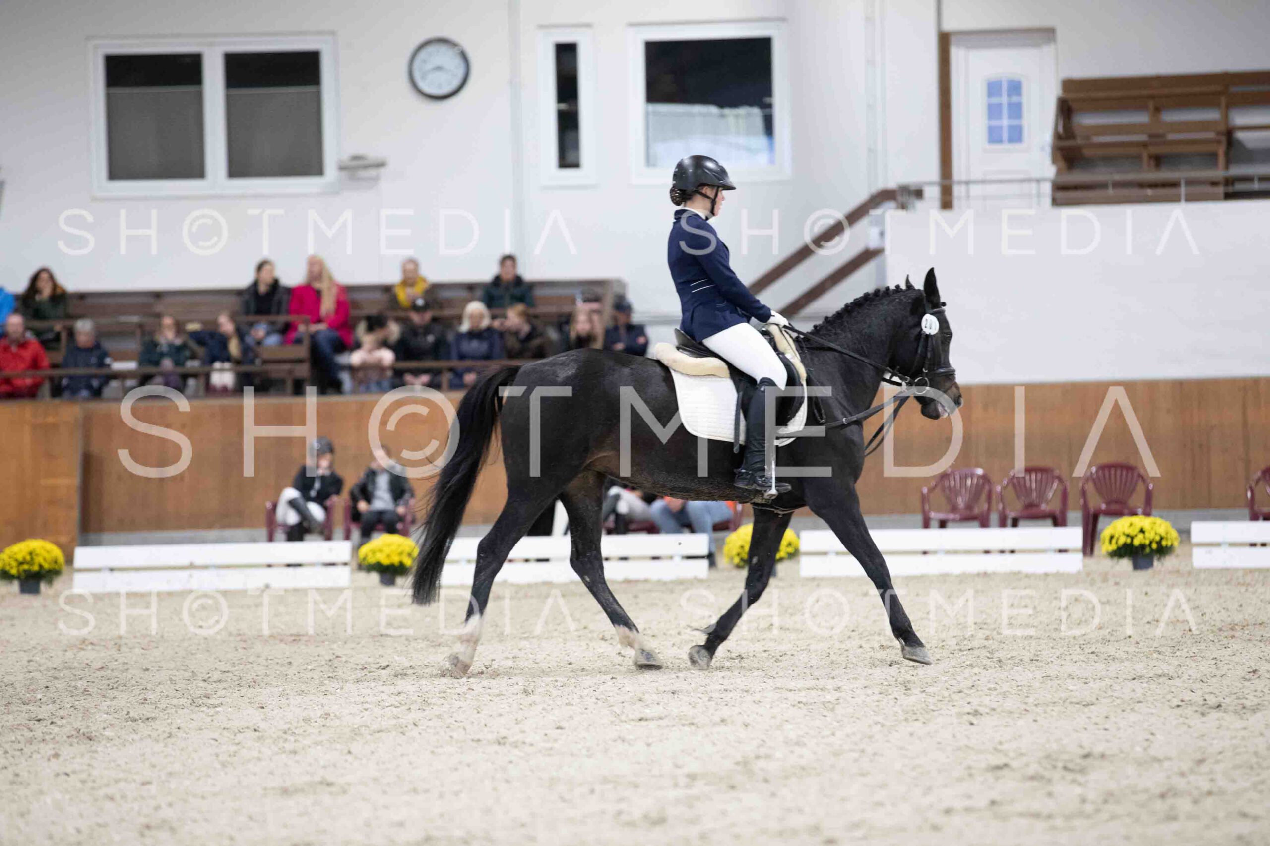 0053-155048-Dressurreiter-Herbst25