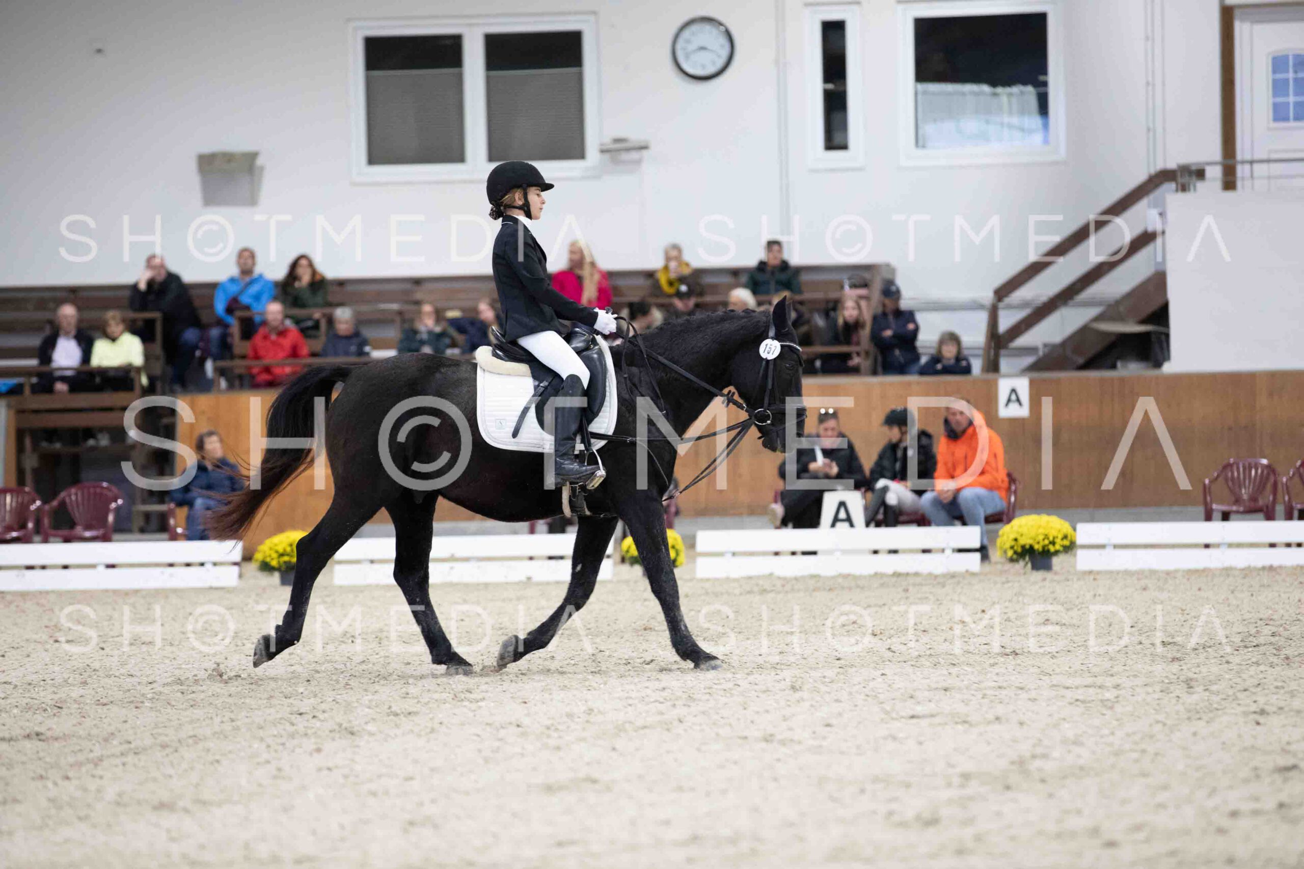 0054-155049-Dressurreiter-Herbst25