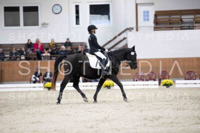 0055-155049-Dressurreiter-Herbst25