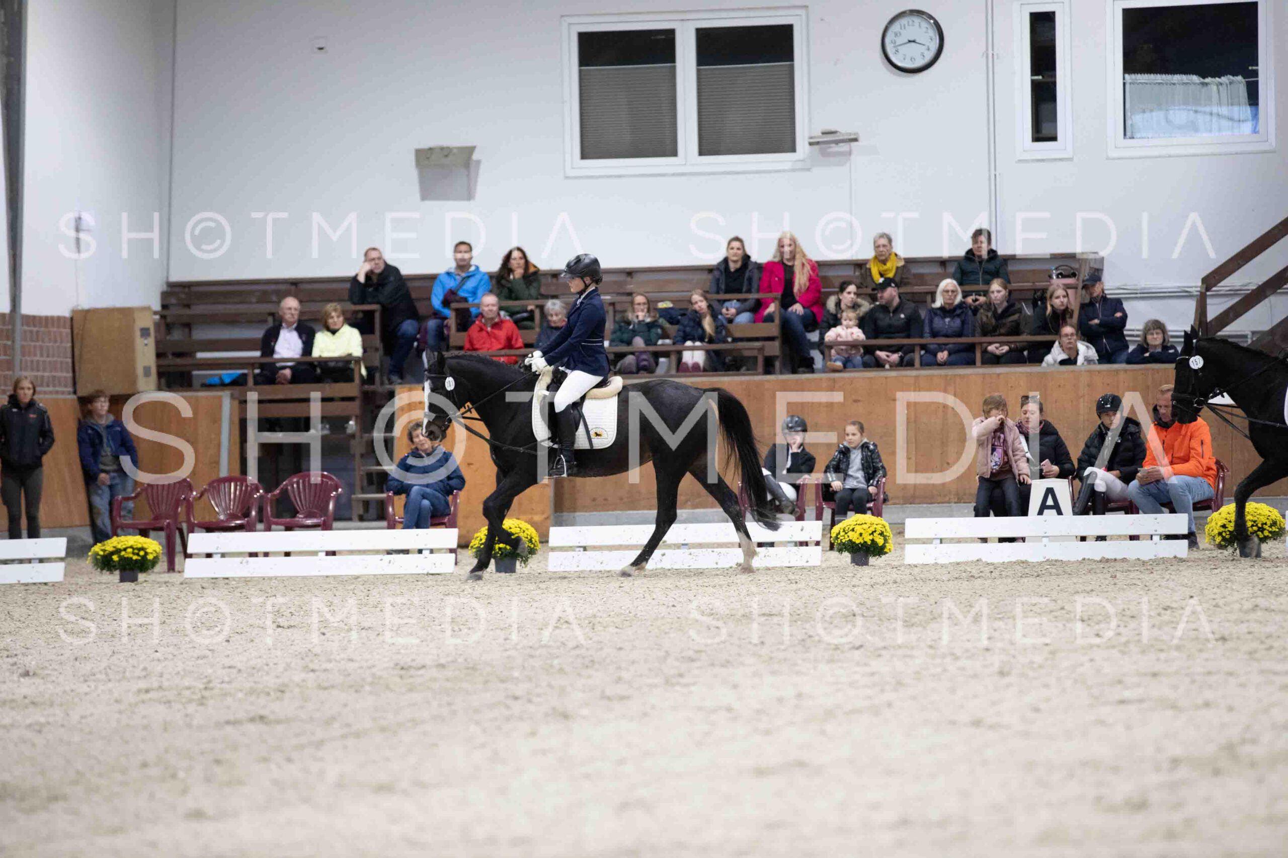 0057-155116-Dressurreiter-Herbst25