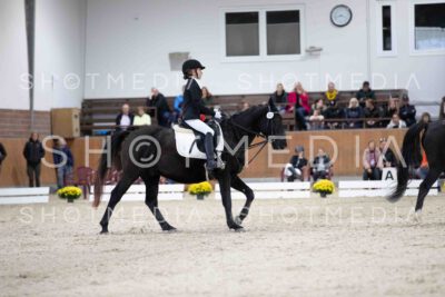 0059-155125-Dressurreiter-Herbst25