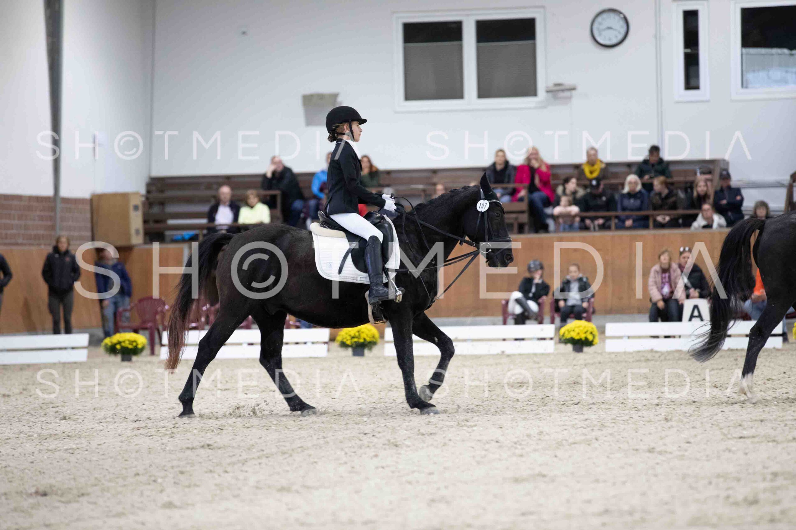 0059-155125-Dressurreiter-Herbst25