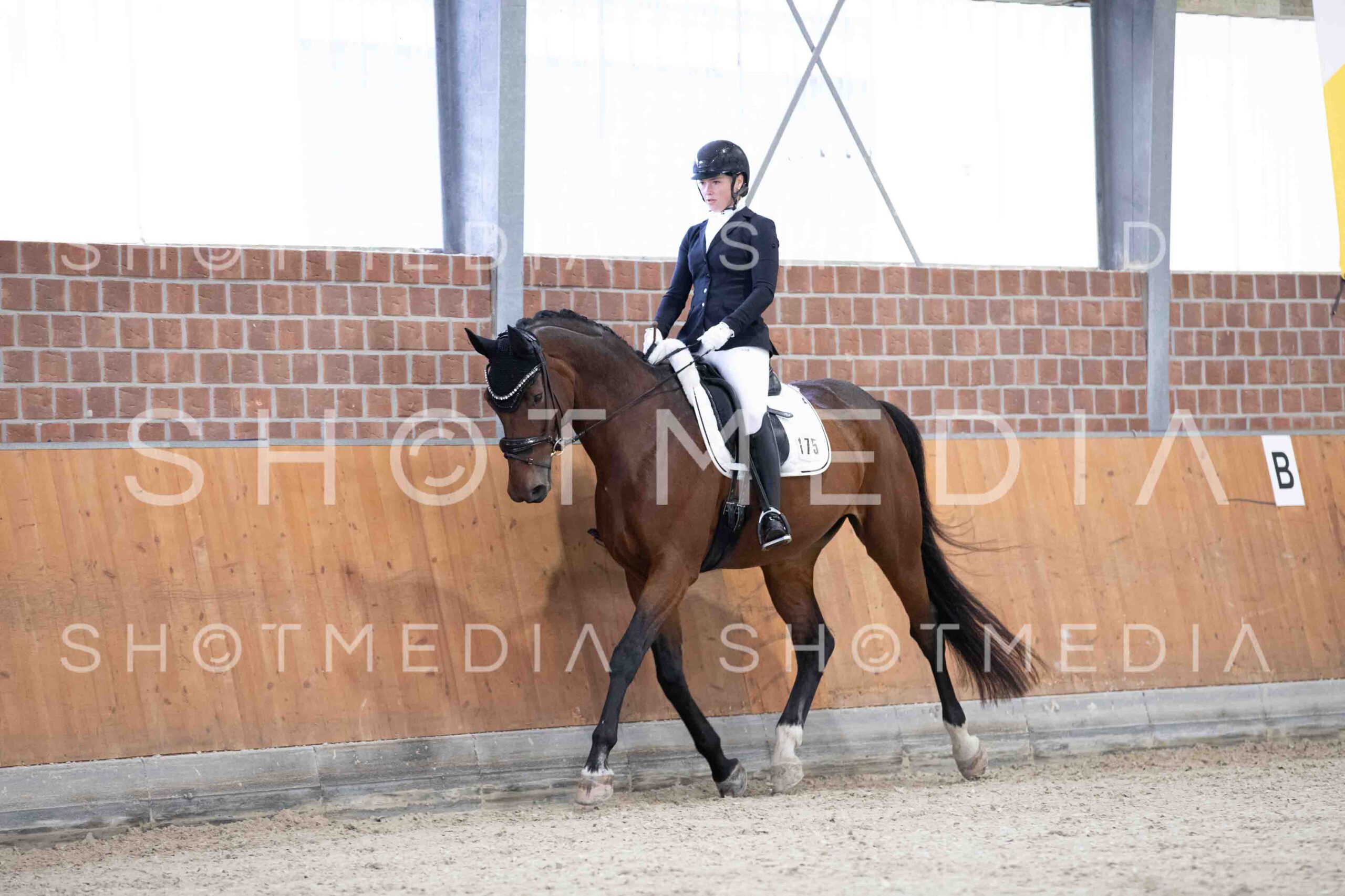 0060-115243-KlasseLTrense-Herbst25