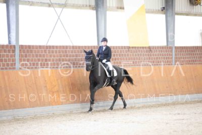 0060-121945-KlasseLKandare-Herbst25