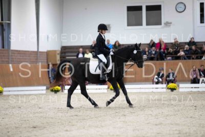 0060-155301-Dressurreiter-Herbst25