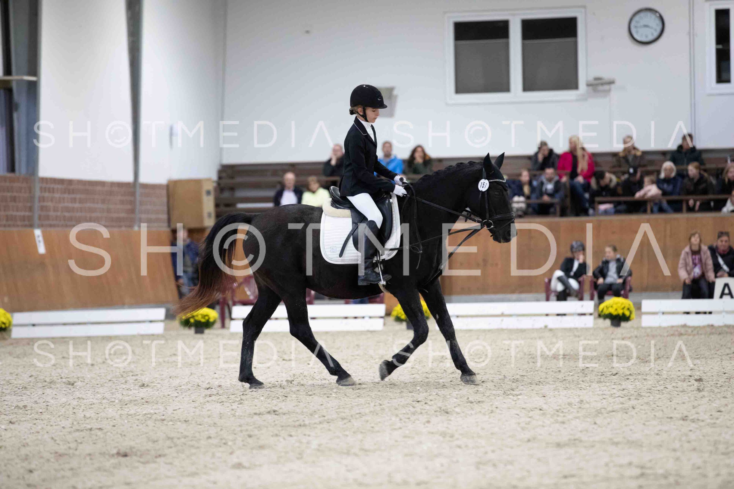 0060-155301-Dressurreiter-Herbst25