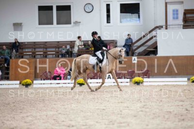 0060-170614-KlasseE-Herbst25