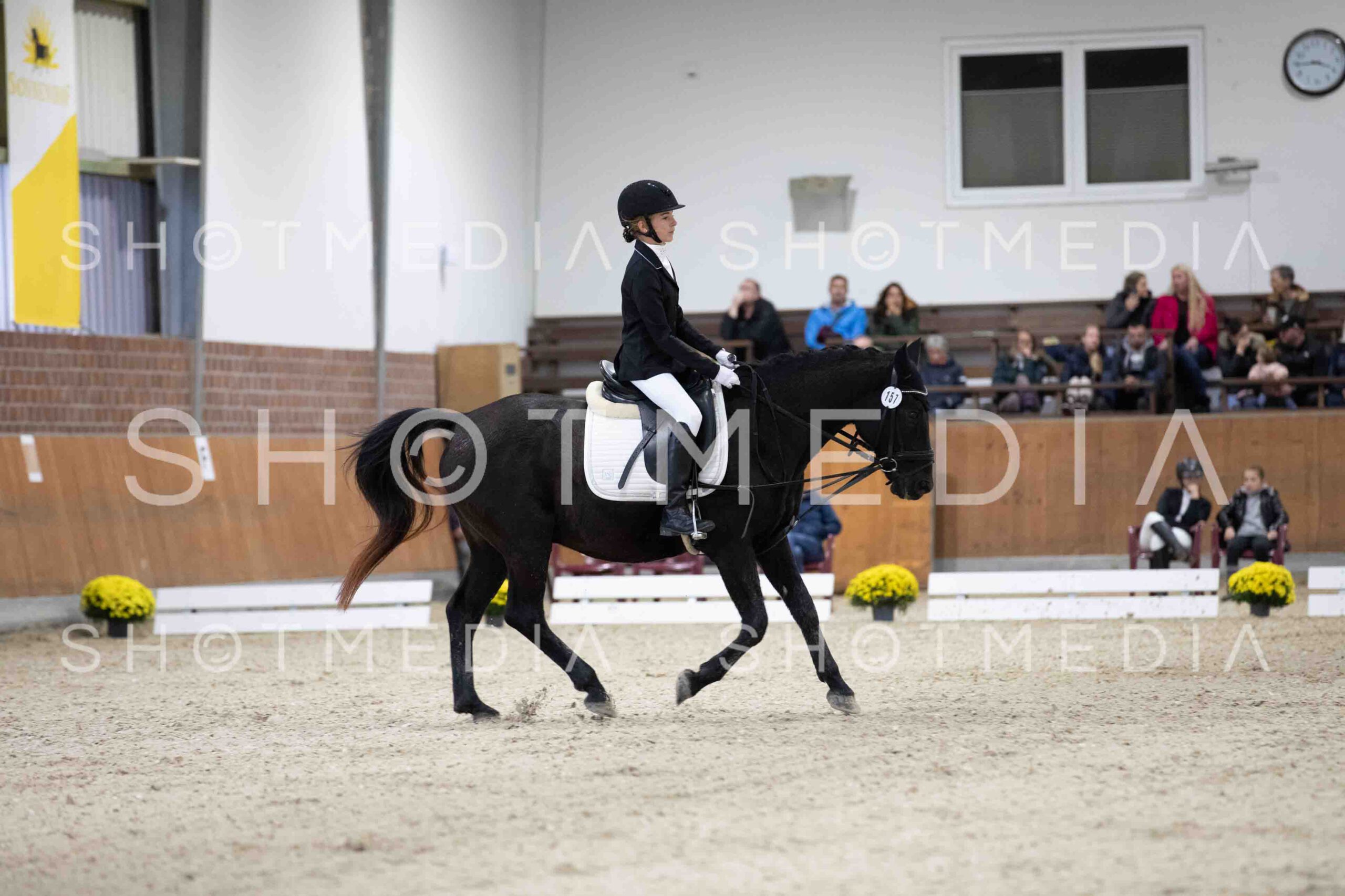 0062-155317-Dressurreiter-Herbst25