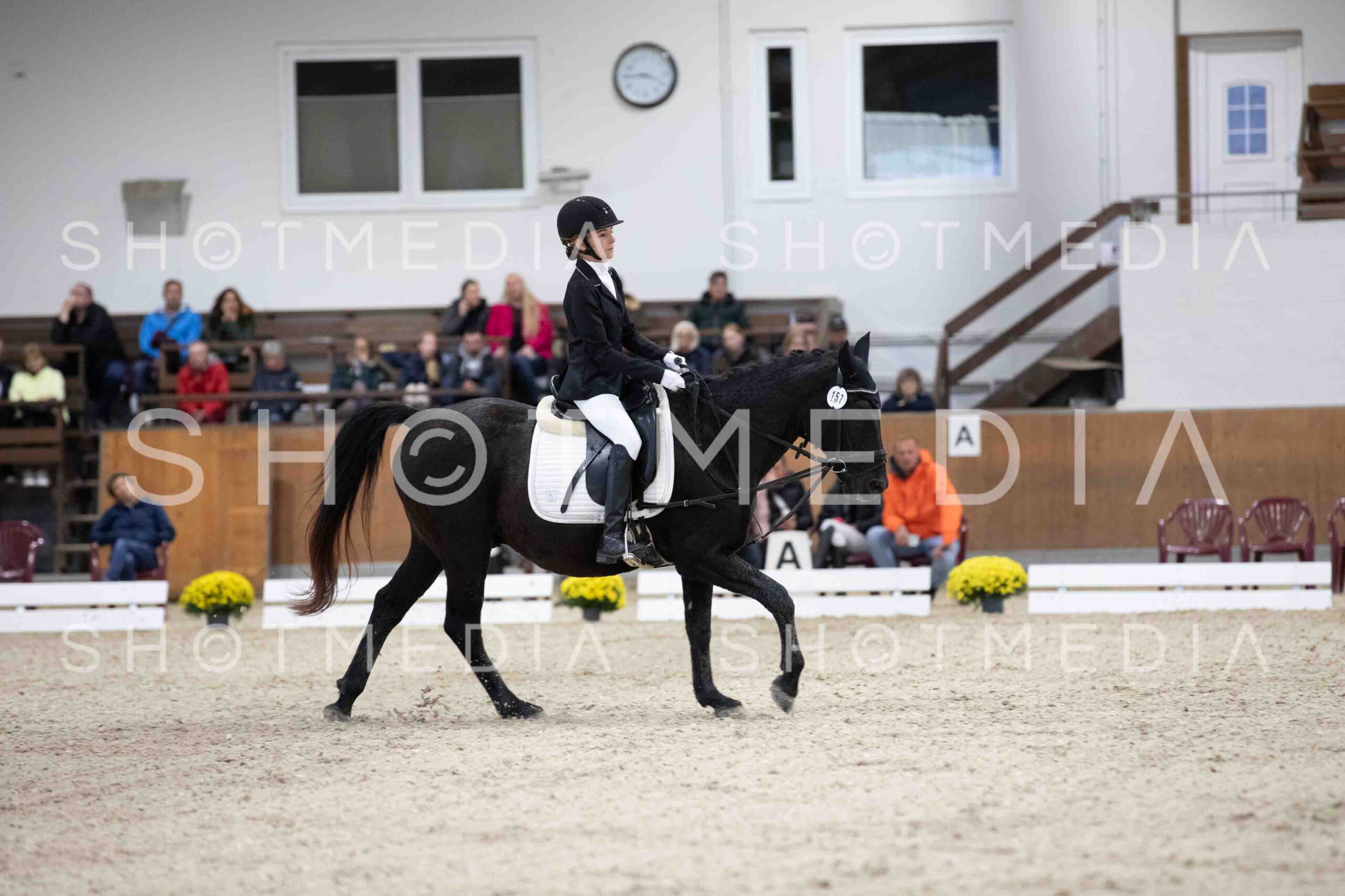 0063-155318-Dressurreiter-Herbst25