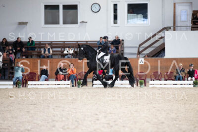 0063-250607-170156-DressurreiterWB