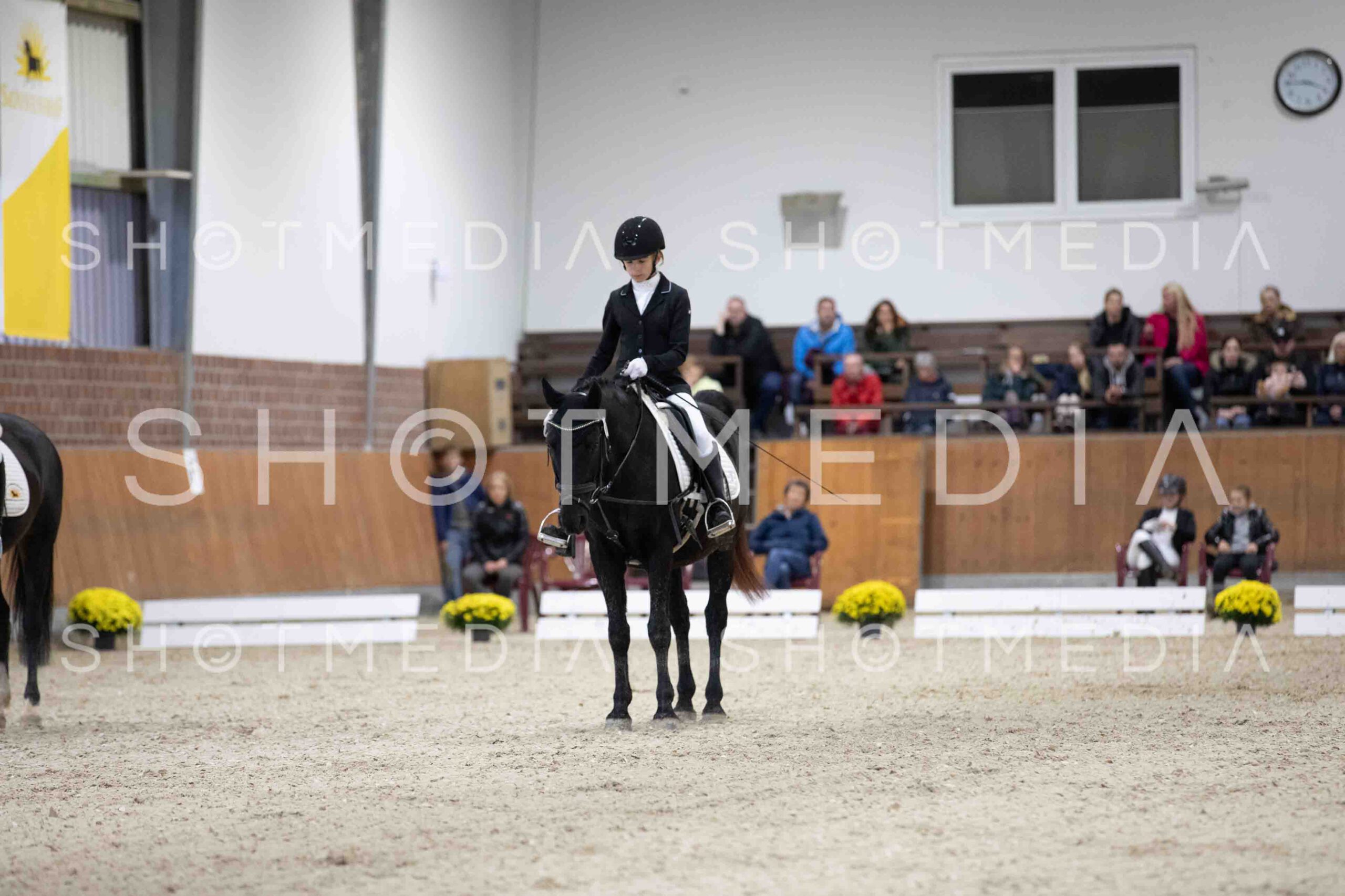 0066-155407-Dressurreiter-Herbst25