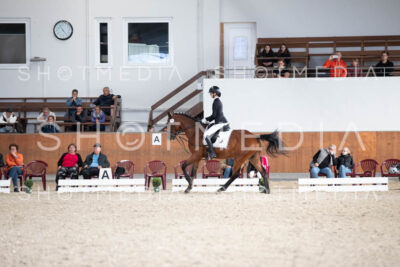 0067-250607-170215-DressurreiterWB