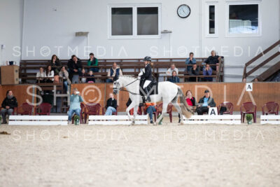 0070-250607-170225-DressurreiterWB