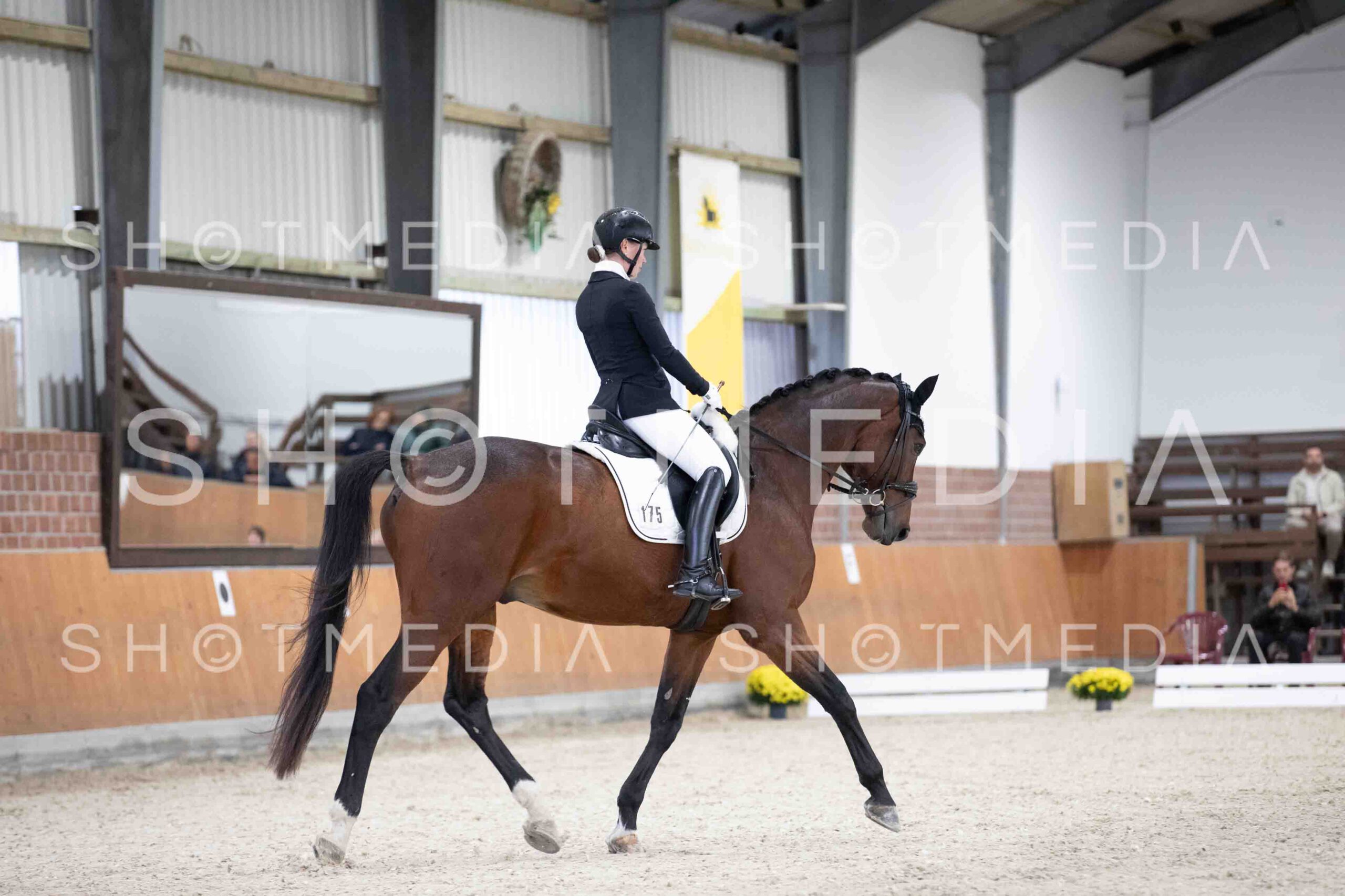 0071-115330-KlasseLTrense-Herbst25