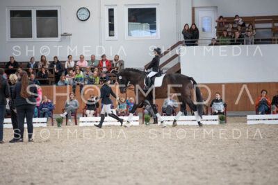 0072-250607-155149-Fuehrzuegel