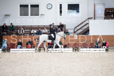 0077-250607-170331-DressurreiterWB