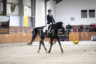 0078-155745-Dressurreiter-Herbst25