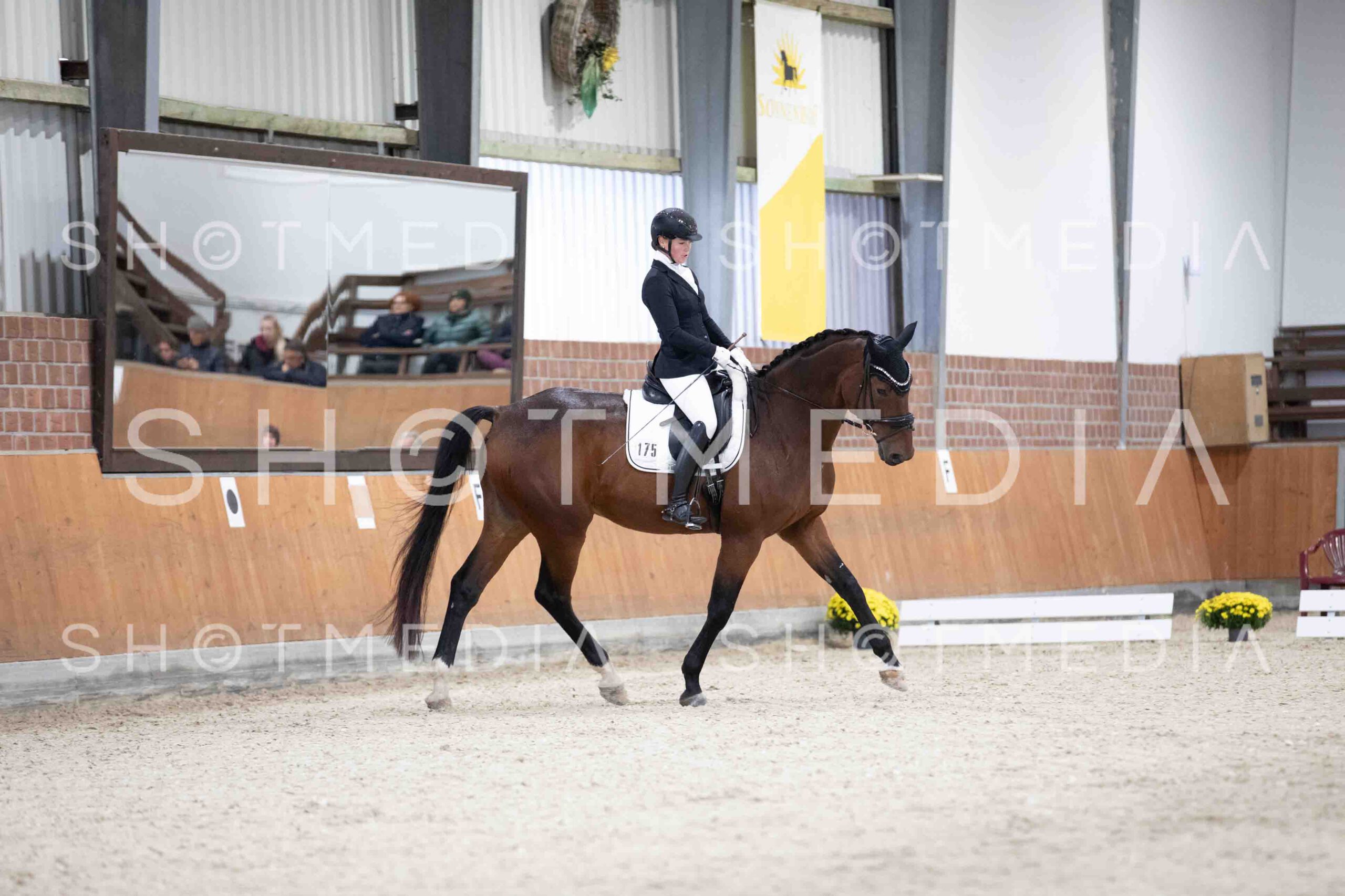 0079-115407-KlasseLTrense-Herbst25