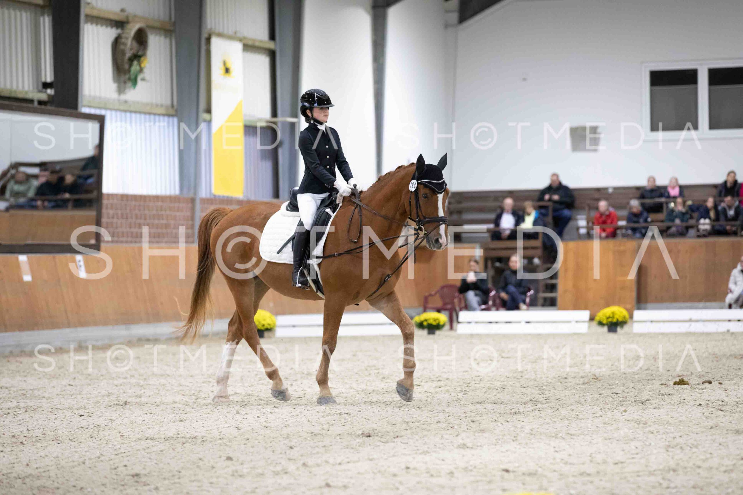 0080-155747-Dressurreiter-Herbst25