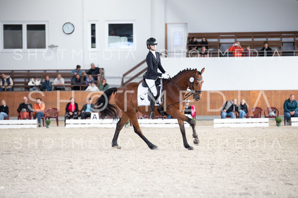 0080-250607-170350-DressurreiterWB