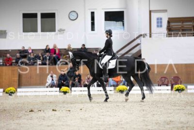 0081-155810-Dressurreiter-Herbst25