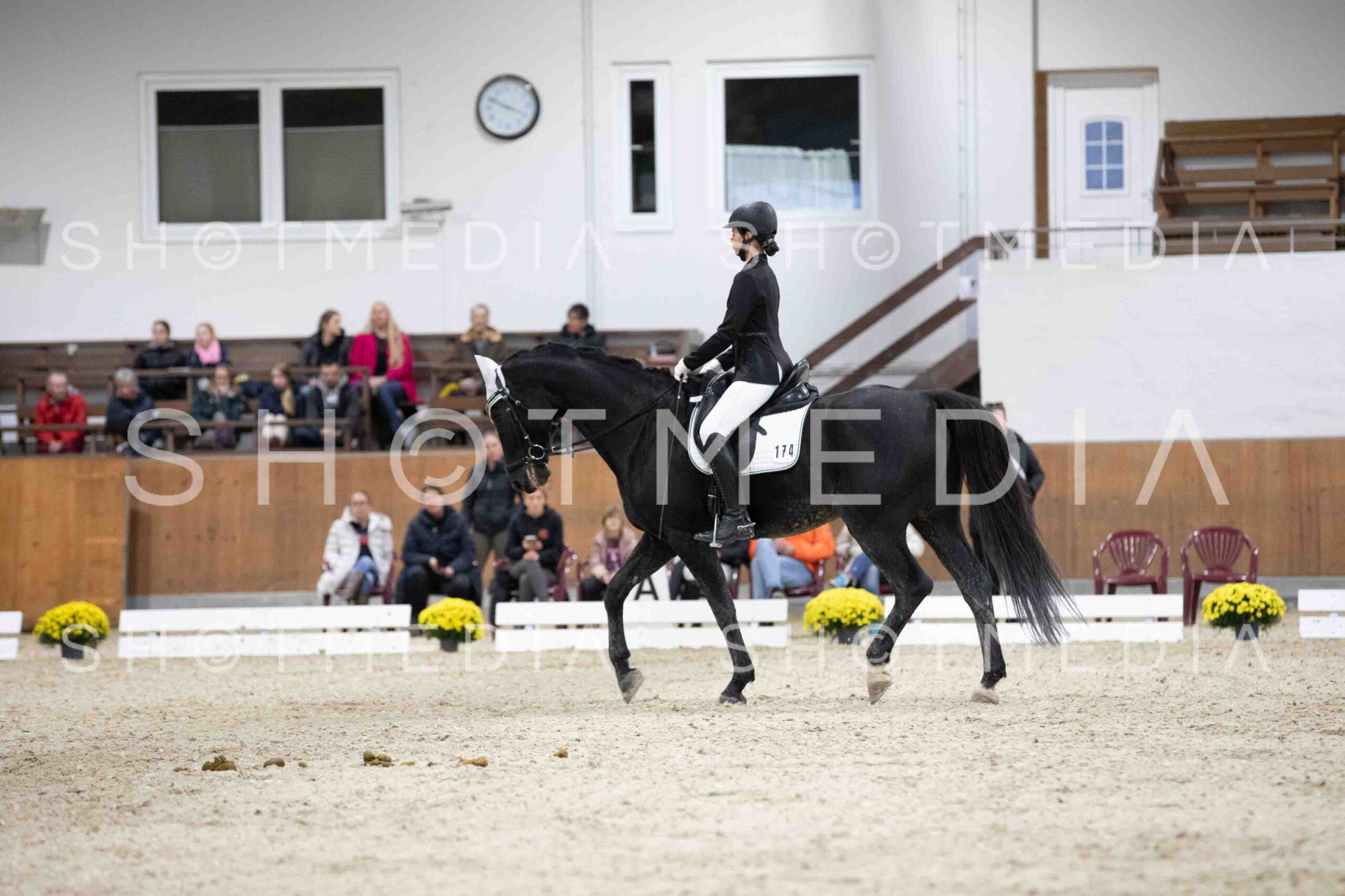 0081-155810-Dressurreiter-Herbst25