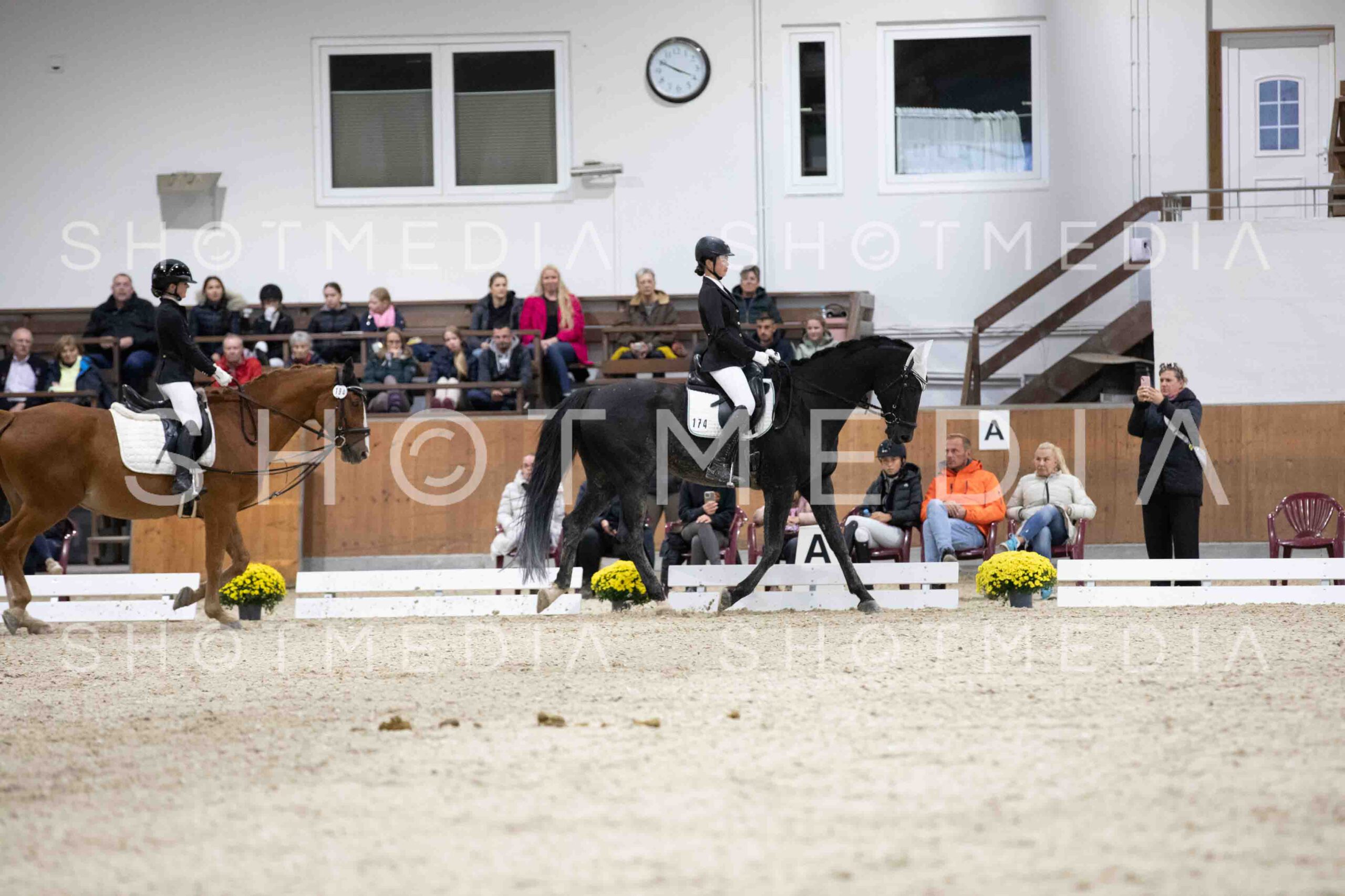 0082-155819-Dressurreiter-Herbst25