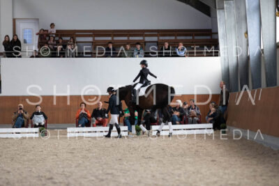 0082-250607-155240-Fuehrzuegel