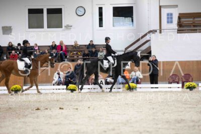 0083-155820-Dressurreiter-Herbst25