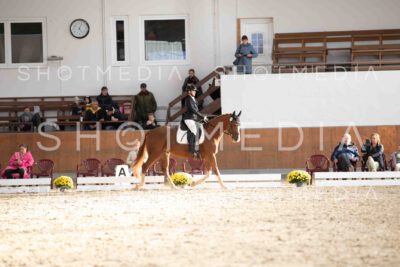 0084-171250-KlasseE-Herbst25