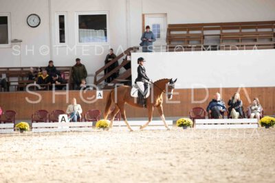 0085-171250-KlasseE-Herbst25