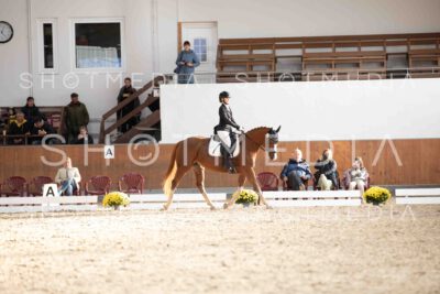 0086-171251-KlasseE-Herbst25