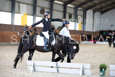 0086-250607-155257-Fuehrzuegel