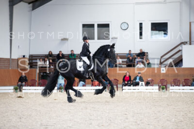 0086-250607-170401-DressurreiterWB