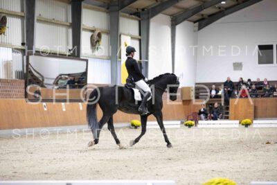 0087-155845-Dressurreiter-Herbst25