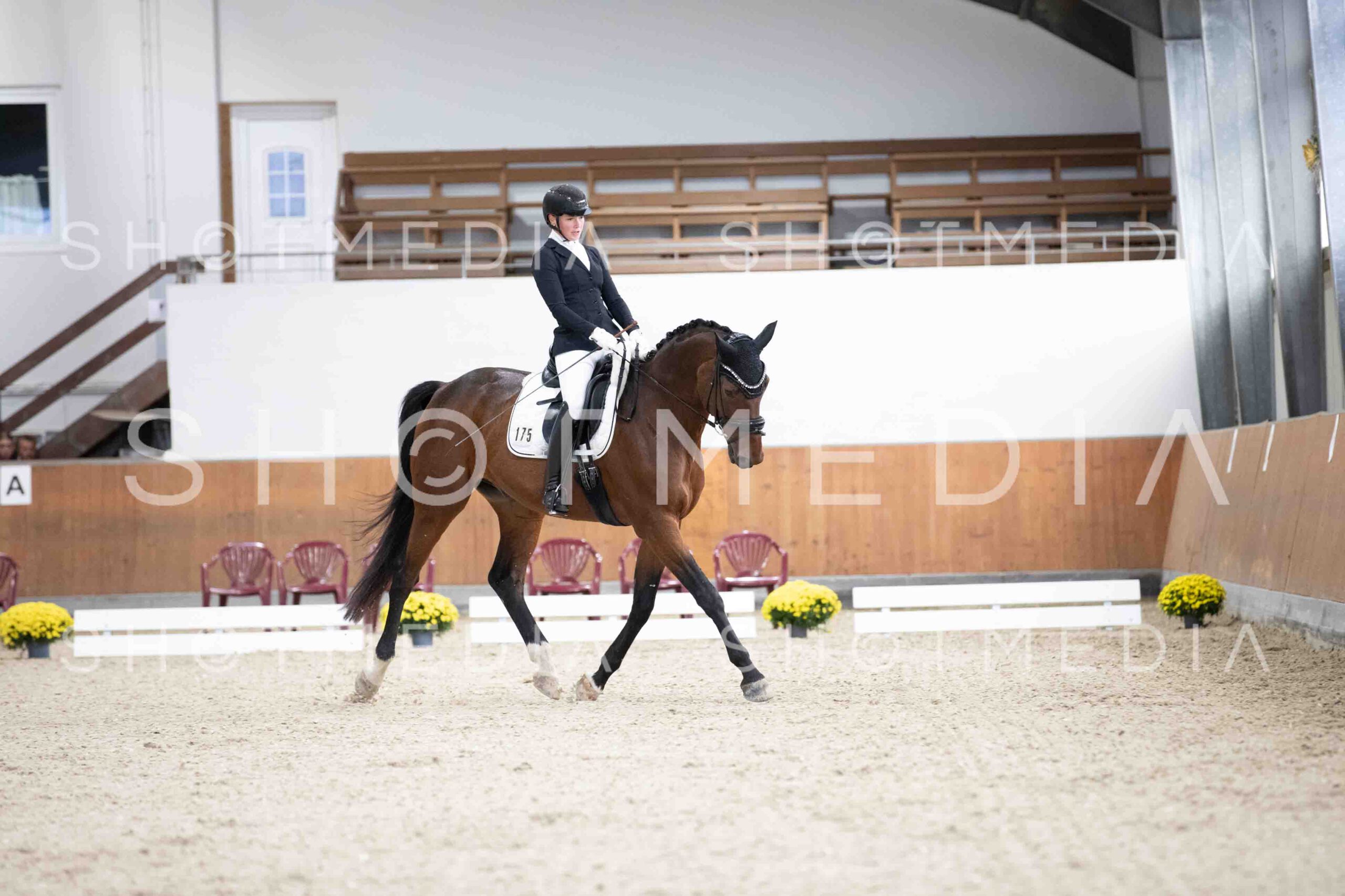 0088-115433-KlasseLTrense-Herbst25