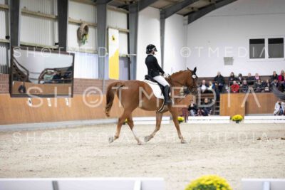 0088-155847-Dressurreiter-Herbst25