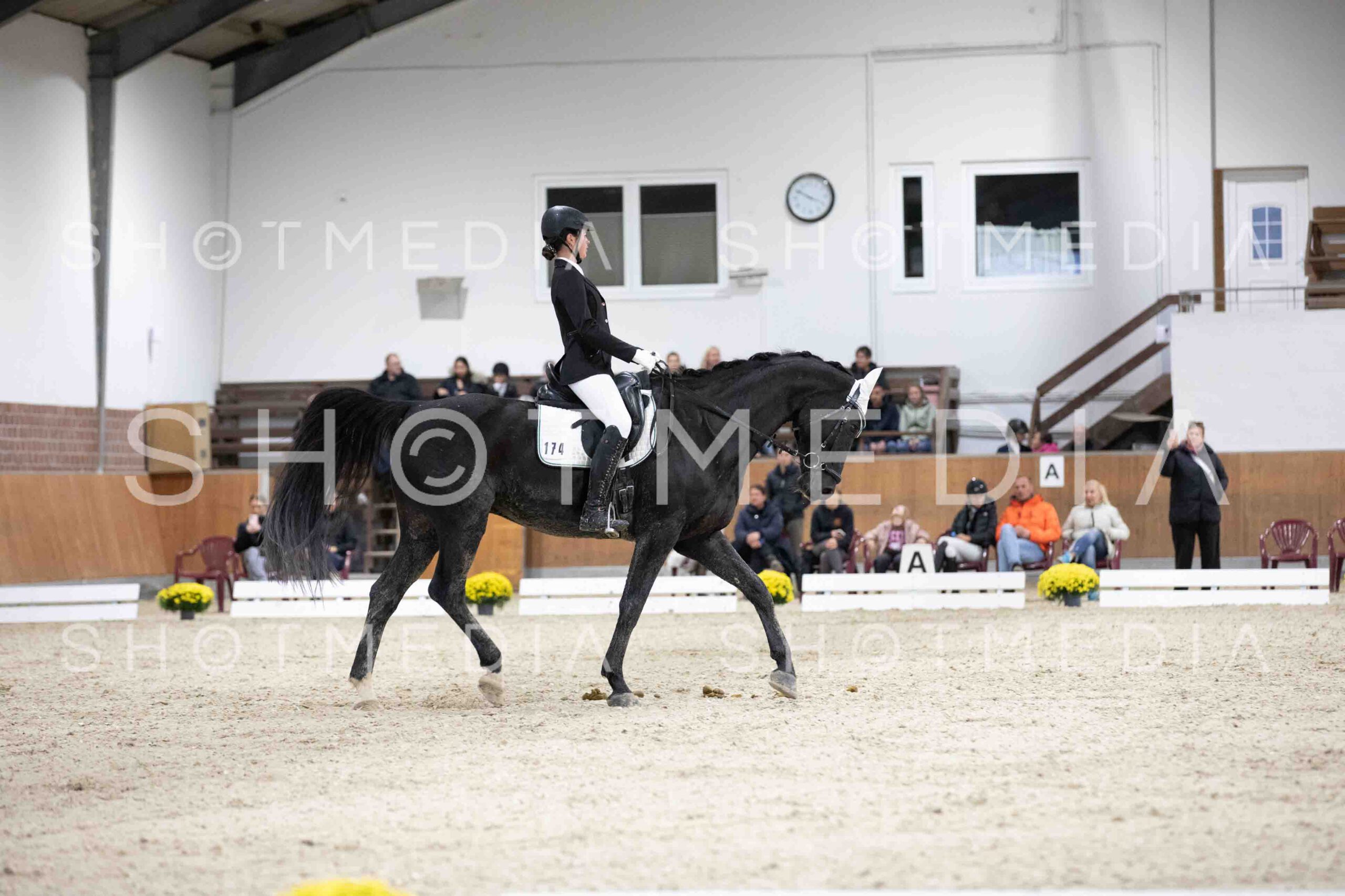 0089-155909-Dressurreiter-Herbst25