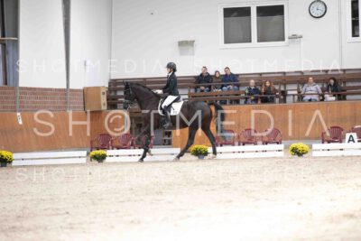 0090-122616-KlasseLKandare-Herbst25