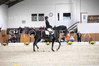 0090-155909-Dressurreiter-Herbst25