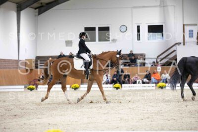 0091-155910-Dressurreiter-Herbst25