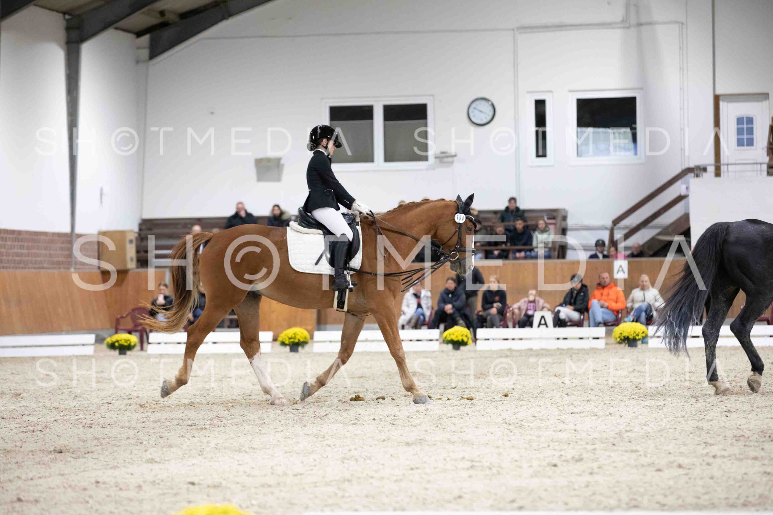 0091-155910-Dressurreiter-Herbst25