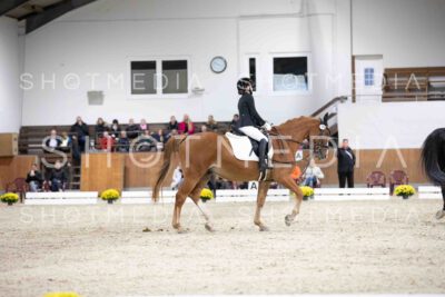 0093-155911-Dressurreiter-Herbst25