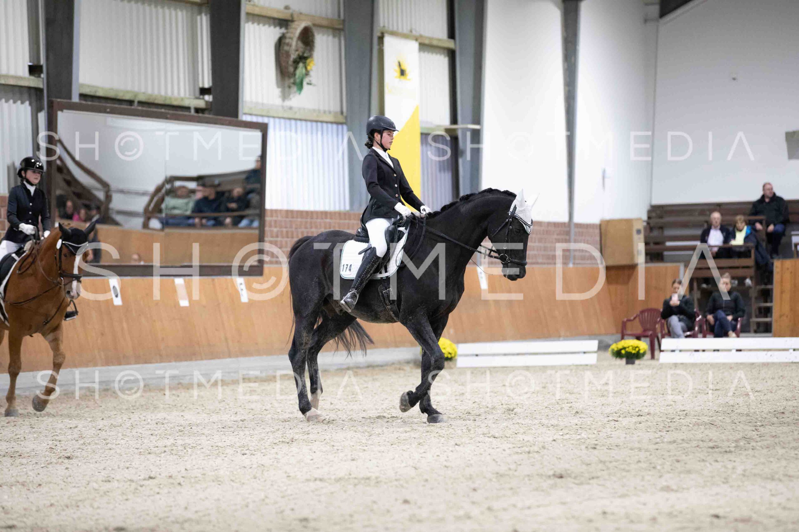 0094-155931-Dressurreiter-Herbst25