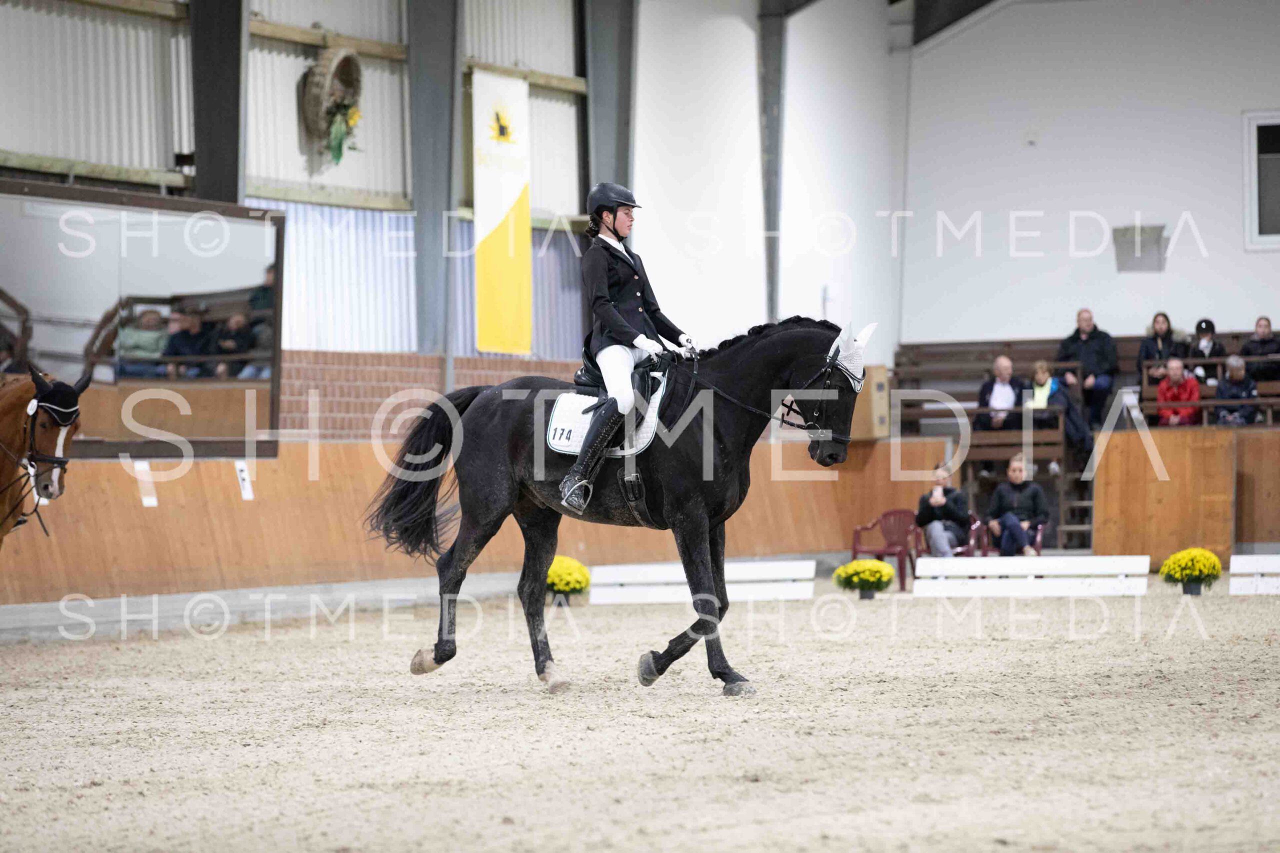 0095-155931-Dressurreiter-Herbst25