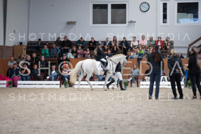 0096-250607-155637-Fuehrzuegel