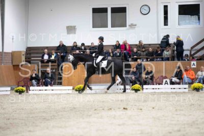 0097-155942-Dressurreiter-Herbst25