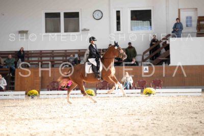 0097-171349-KlasseE-Herbst25