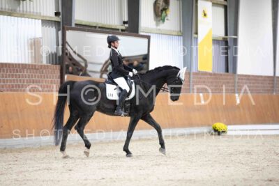 0100-160119-Dressurreiter-Herbst25