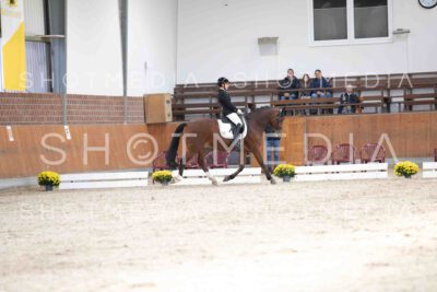 0101-122944-KlasseLKandare-Herbst25